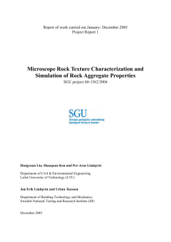 Microscope Rock Texture Characterization and Simulation of