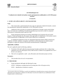 Combined tool to identify the baseline scenario and - CDM