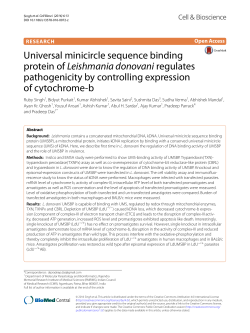 Universal minicircle sequence binding protein of Leishmania