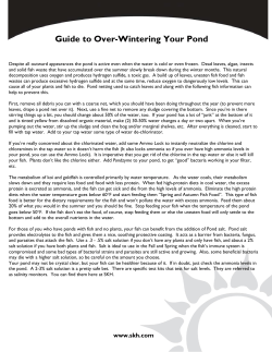 Guide to Over-Wintering Your Pond