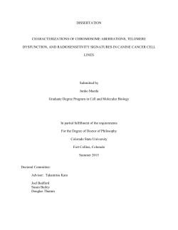 DISSERTATION CHARACTERIZATIONS OF CHROMOSOME