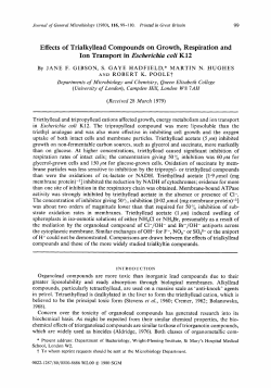 Effects of TrialkyUead Compounds on Growth