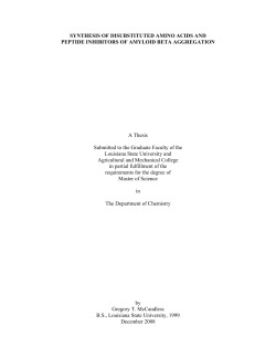 SYNTHESIS OF DISUBSTITUTED AMINO ACIDS AND PEPTIDE