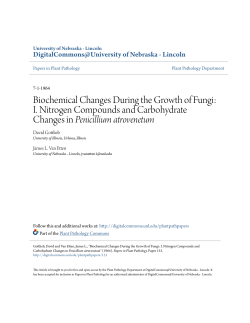 Biochemical Changes During the Growth of Fungi: I. Nitrogen