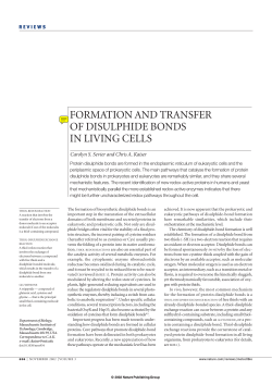 formation and transfer of disulphide bonds in living cells