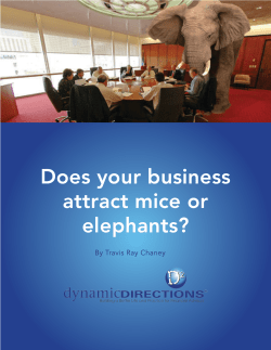 Does your business attract mice or elephants?