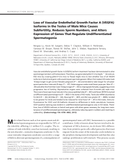 Loss of Vascular Endothelial Growth Factor A (VEGFA) Isoforms in