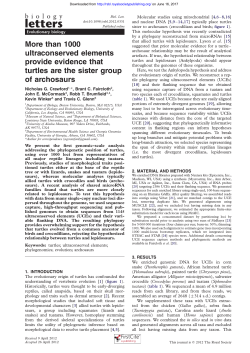 More than 1000 ultraconserved elements provide evidence that