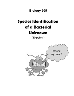 Directions for Work on Lab Unknowns