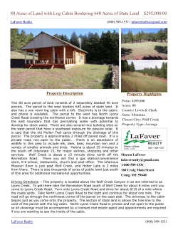 80 Acres of Land with Log Cabin Bordering 640 Acres of State Land