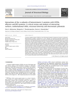 Interactions of the О&plusmn;-subunits of heterotrimeric G
