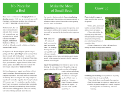 Small Space, Small Budget Vegetable Gardening