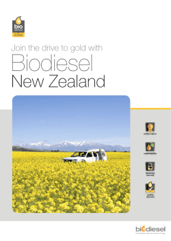 New Zealand - Mini