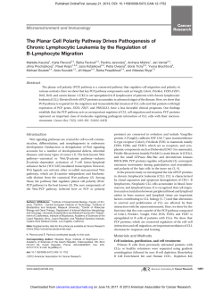 The Planar Cell Polarity Pathway Drives