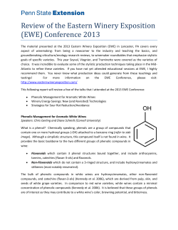 2013 Eastern Winery Exposition Review