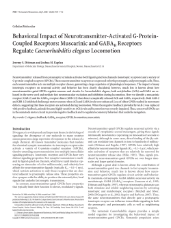 Behavioral Impact of Neurotransmitter-Activated G-Protein