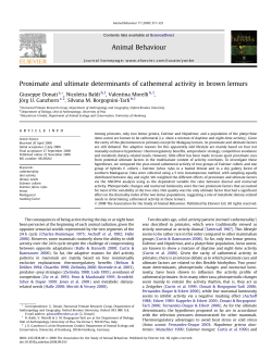 Proximate and ultimate determinants of cathemeral activity in brown