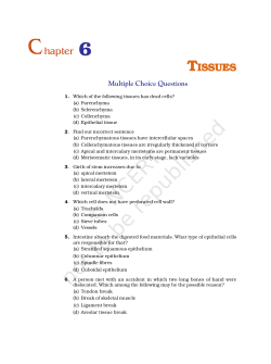 Unit 6(Tissues)