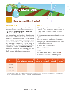 Soil and Water Science, Level 3