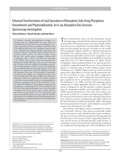 Enhanced Transformation of Lead Speciation in Rhizosphere Soils