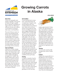 Growing Carrots in Alaska