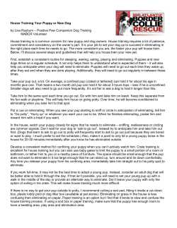 House Training Your Puppy or New Dog by Lisa Rayburn &ndash; Positive