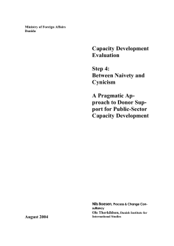 A Pragmatic Approach to capacity development