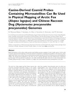 Canine-Derived Cosmid Probes Containing Microsatellites Can Be