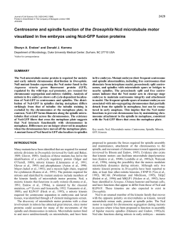 Centrosome and spindle function of the