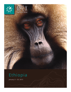 Ethiopia - Apex Expeditions