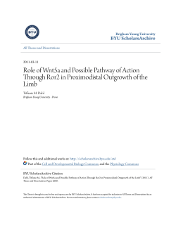 Role of Wnt5a and Possible Pathway of Action Through Ror2 in