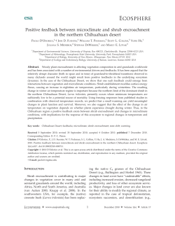 Positive feedback between microclimate and shrub encroachment in