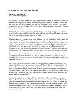 How to stop your dog from pulling on the leash