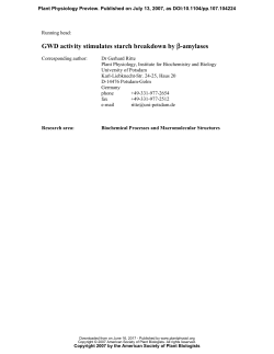 GWD activity stimulates starch breakdown by β