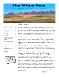 March 2017 - Big Sky Epagneul Breton Gun Dog Club