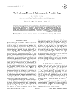 The Synchronous Division of Dictyosomes at the Premitotic Stage