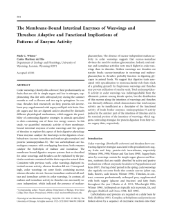 The Membrane-Bound Intestinal Enzymes of Waxwings and