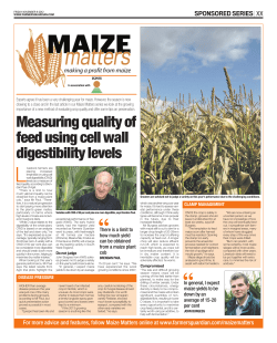 Measuring quality of feed using cell wall digestibility levels