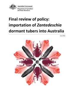 Final review of policy: importation of Zantedeschia dormant tubers