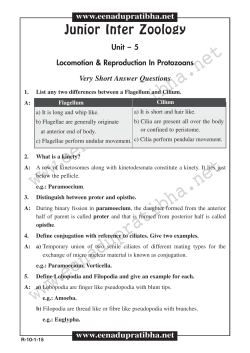 Junior Inter Zoology Questions English Medium