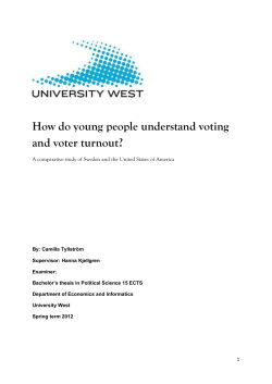 How do young people understand voting and voter turnout?