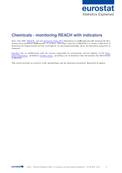 Chemicals - monitoring REACH with indicators