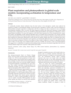 Plant respiration and photosynthesis in global