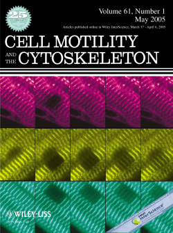 Cell Motility and the Cytoskeleton