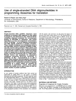 Use of single-stranded DNA oligonucleotides in programming