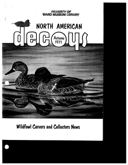 north american