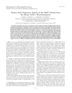 Nucleic Acid Chaperone Activity of the ORF1 Protein from the Mouse