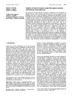 Analysis of starch structure using fluorophore