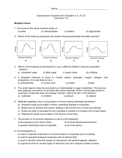Sample Exam Questions 2