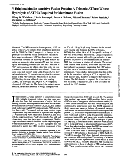 N-Ethylmaleimide-sensitive Fusion Protein